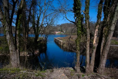 Lambertville - Photo 4