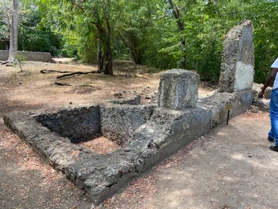 Gede - Photo 5
