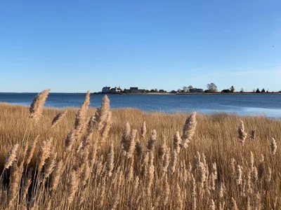Old Saybrook - Photo 5