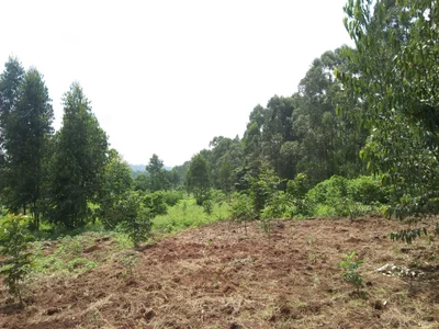 Ngong - Photo 4