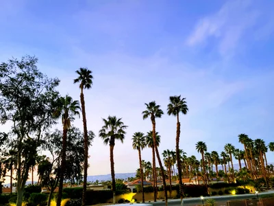 Palm Desert - Photo 2