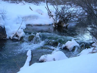 Spearfish - Photo 2