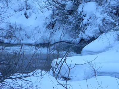 Spearfish - Photo 4