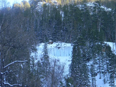 Spearfish - Photo 5