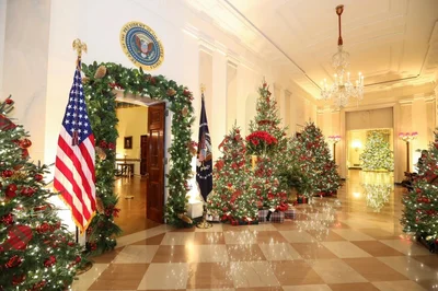 Washington - Photo 4
