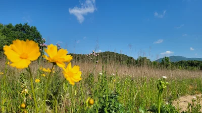 Cheonan-si - Photo 3
