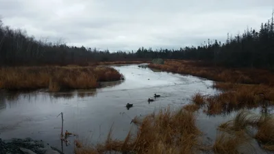 Cole Harbour - Photo 2