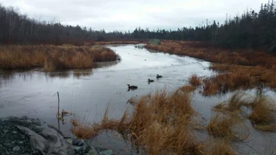 Cole Harbour - Photo 3