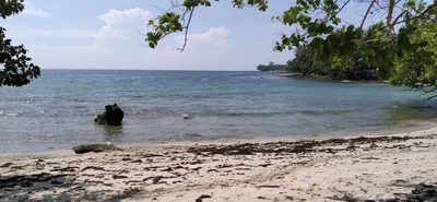 Madang - Photo 5