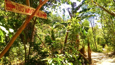 Bulalacao - Photo 4