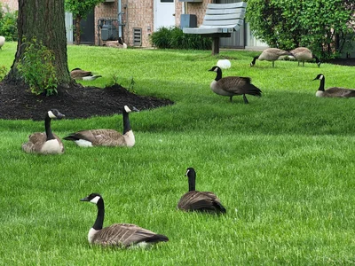 Vernon Hills - Photo 2