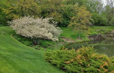 Vernon Hills - Photo 5