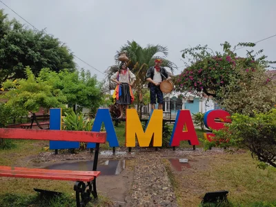 Lamas - Photo 4