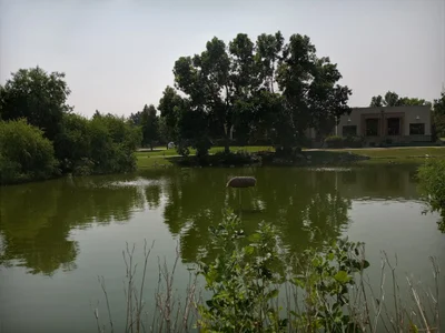 Fort Collins - Photo 2