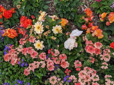 Fort Collins - Photo 3
