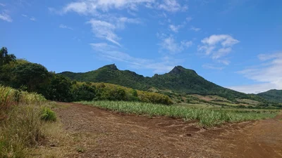 Grande Riviere Sud Est - Photo 3