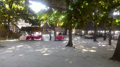Grande Riviere Sud Est - Photo 4