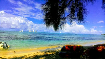 Grande Riviere Sud Est - Photo 5