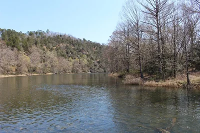 Broken Bow - Photo 4