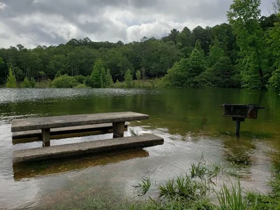 Broken Bow - Photo 5