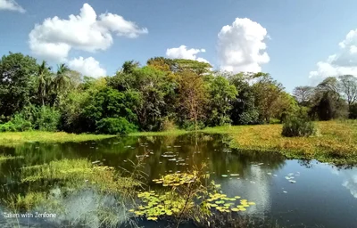 Hiriwadunna - Photo 5