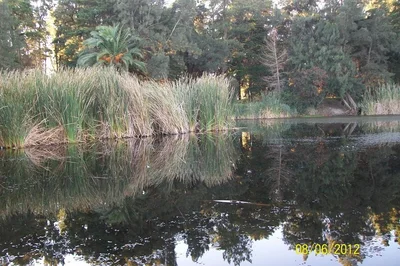 Canelones - Photo 4