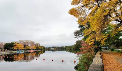 Waltham - Photo 4