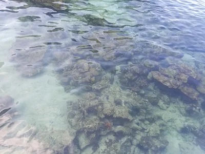 Ko Phi Phi Lee - Photo 3