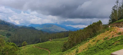 Devikulam - Photo 3