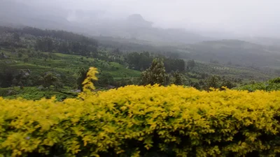 Devikulam - Photo 5