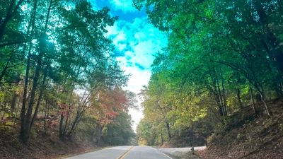 Cartersville - Photo 3