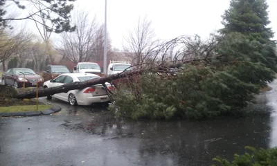 Warwick - Photo 3