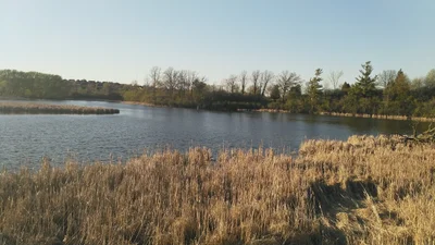 Newmarket - Photo 2