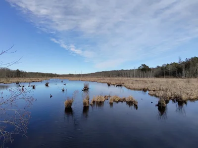 South Kingstown - Photo 2