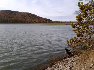 Luray - Photo 3