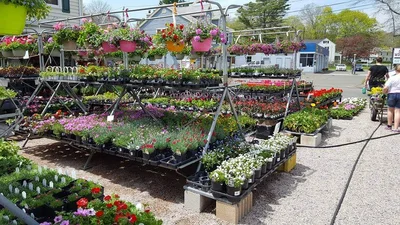 Branford - Photo 3