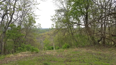 Wheeling - Photo 2