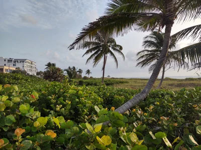 Delray Beach - Photo 4