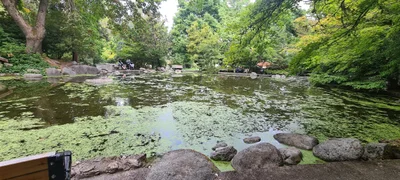 Ashland - Photo 3