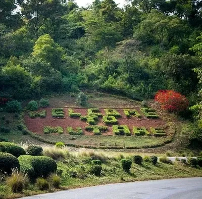 Mutare - Photo 5