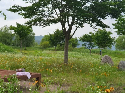 Hapcheon-Gun - Photo 3