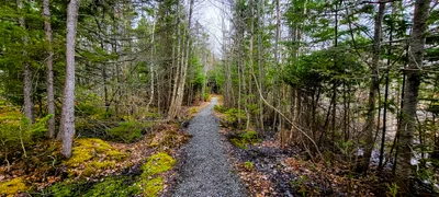 Antigonish - Photo 2