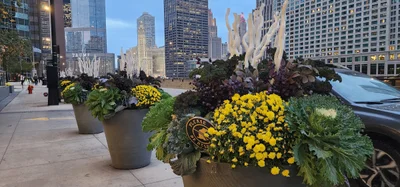 Chicago - Photo 3