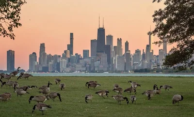 Chicago - Photo 4