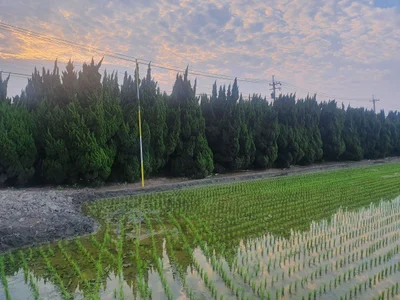 Zhutang Township - Photo 3