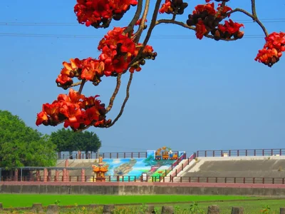 Zhutang Township - Photo 5