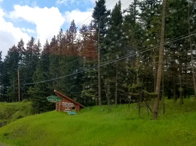 100 Mile House - Photo 2