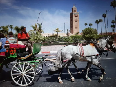 Marrakech - Photo 2