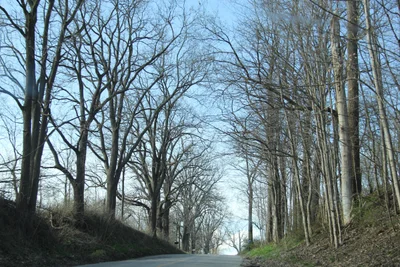 Middlesex Centre - Photo 2