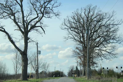 Middlesex Centre - Photo 3